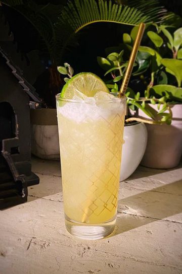 chartreuseswizzle